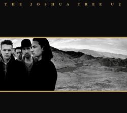 Universal Music U2 - The Joshua Tree (30th Anniversary) (CD) (5748414)