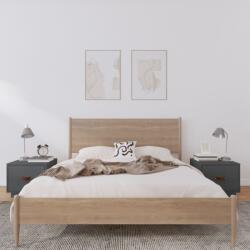 vidaXL Noptiere, 2 buc. , gri, 40x34x35 cm, lemn masiv de pin (818290)