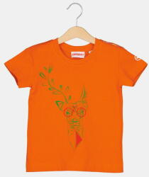Pegas Tricouri copii TRICOU CERB FAMILIE COPII ORANGE-10 (PS2122-01-2-CF-10)