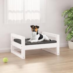 vidaXL Pat pentru câini, alb, 55, 5x45, 5x28 cm, lemn masiv de pin (821468) - comfy