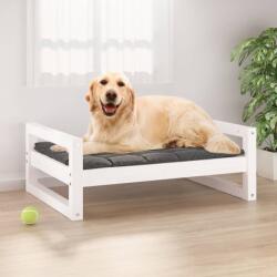 vidaXL Pat pentru câini, alb, 75, 5x55, 5x28 cm, lemn masiv de pin (821478) - comfy