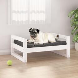 vidaXL Pat pentru câini, alb, 65, 5x50, 5x28 cm, lemn masiv de pin (821473) - comfy
