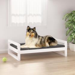 vidaXL Pat pentru câini, alb, 95, 5x65, 5x28 cm, lemn masiv de pin (821483) - comfy