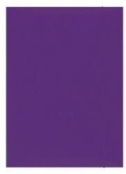 Office Products Mapa din carton plastifiat cu elastic, 300gsm, Office Products - violet (OF-21191131-09) - ihtis