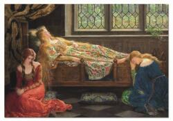 Educa - Puzzle John Collier, Frumoasa adormită - 1 500 piese