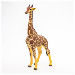 Papo Figurina Girafa Mascul (Papo50149) - carlatoys