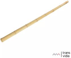  Bambusz karó d: 10-12mm 150cm 2db/csomag