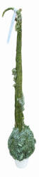 grincsfa nobilis fenyõalapból, 12-es fehér kerámia kaspóban, kb. 120 cm magas