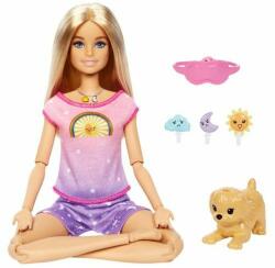 Mattel Papusa Barbie Mattel si meditatie de dimineata pana seara (25HHX64) Papusa Barbie