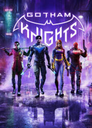 Warner Bros. Interactive Gotham Knights (PC)