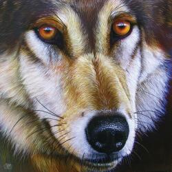 SunsOut Wolf Face - Jurek 1000 db-os (58644)