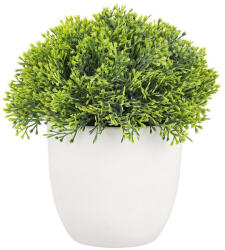 Bizzotto Planta artificiala verde Coryn 14x16 cm (0172795deco)