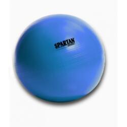 SPARTAN Gimnasztikai labda Power 55 cm kék (57)
