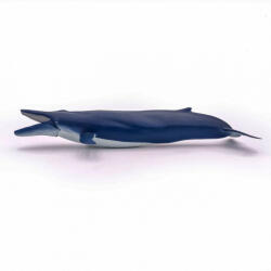 Papo Figurina Balena Albastra (Papo56037) - ejuniorul Figurina