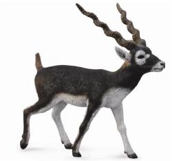 CollectA Figurina Antilopa Blackbuck (COL88638L) Figurina