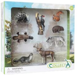 CollectA Set de 8 figurine pictate manual Woodlands (COL84168WB) - piciulica