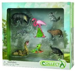 CollectA Set de 8 figurine Wild Life (COL84098WB)
