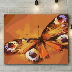 Pictorul Fericit Butterfly art - Pictură pe numere