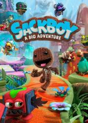 Sony Sackboy A Big Adventure (PC)
