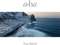 a-ha - True North (2 Vinyl)