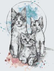 Festés számok szerint - Három cica Méret: 40x60cm, Keretezés: Keret nélkül (csak a vászon)