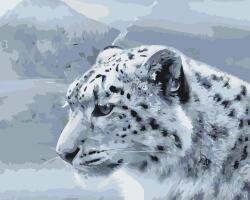 Festés számok szerint - Fehér leopárd Méret: 40x50cm, Keretezés: Keret nélkül (csak a vászon)