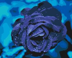Festés számok szerint - Kék rózsa Méret: 40x50cm, Keretezés: Keret nélkül (csak a vászon)