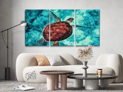  Festés számok szerint - Tengeri teknős (3 db-os készlet) Méret: 40x60cm (3db), Keretezés: Keret nélkül (csak a vászon)