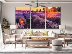 Festés számok szerint - Levendulamező (3 db-os készlet) Méret: 40x60cm (3db), Keretezés: Keret nélkül (csak a vászon)