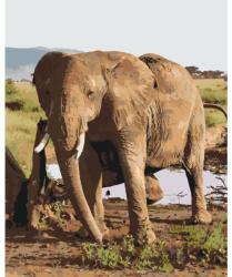 Festés számok szerint - Safari - elefánt Méret: 40x50cm, Keretezés: Keret nélkül (csak a vászon)