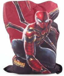 Disney Барбарон Disney Spiderman