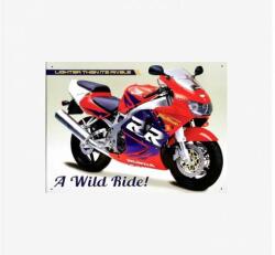 Tac Signs - Plăcuță metalică decorativă [30x41cm] - CBR 900 R Fire Blade (DCC-TACJO50916)