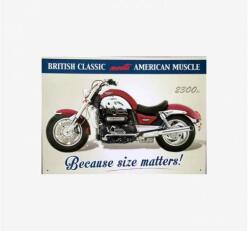 Tac Signs - Plăcuță metalică decorativă [30x41cm] - 2300 CC Rocket III (DCC-TACJO50925)
