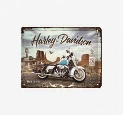 Tac Signs - Plăcuță metalică decorativă 3D [15x20cm] - Harley Police (DCC-TACS3D26255)