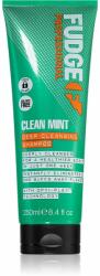Fudge Clean Mint Shampoo șampon pentru păr gras 250 ml