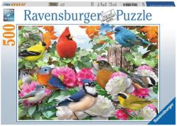 Ravensburger Kerti madarak 500 db-os (14223)