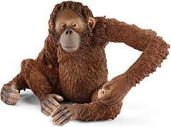 Schleich Wild Life 14775 Female Orangutan (14775) Figurina