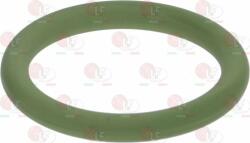 Gasket Orm 0200-30 Fkm