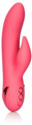 CalExotics California Dreaming Iubitul din San Francisco Vibrator Roz Vibrator