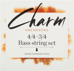 For-Tune CHARM Bass ORCHESTRA 4/4-3/4 SET