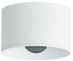 ZAMBELIS LIGHTS ZAMBELIS-S134 Fehér Színű Kültéri Mennyezeti Lámpa LED 8W IP54 (S134)