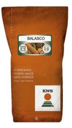 KWS Seminte de porumb KWS Balasco, FAO 420, Boabe si Siloz, 50.000 boabe