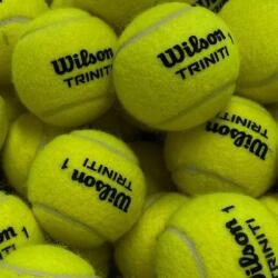Wilson WilsonTriniti Club teniszlabda