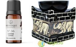 EXCLUSIV Set Ulei Aromat de Cafea Nr. 36 10ml AROMATIQUE + Suport Mare pentru Ulei Aromat Elefant BISPOL