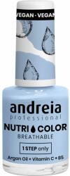Andreia Professional NutriColor-Care&Colour NC34 10,5 ml