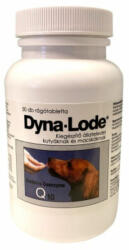  Dyna-Lode tabletta 50 db