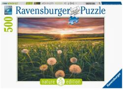 Ravensburger Pitypang a Naplementében 500 db-os (16990)