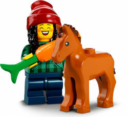 LEGO® Minifigurák 22. sorozat Lovas (COL22-5)