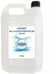 Caola Kéz- és bőrfertőtlenítő gél 5 liter caosept (CSG5L) - pepita