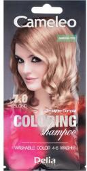 Delia Cosmetics Șampon nuanțator - Cameleo Colouring Shampoo 10.1 - Platinum Blonde